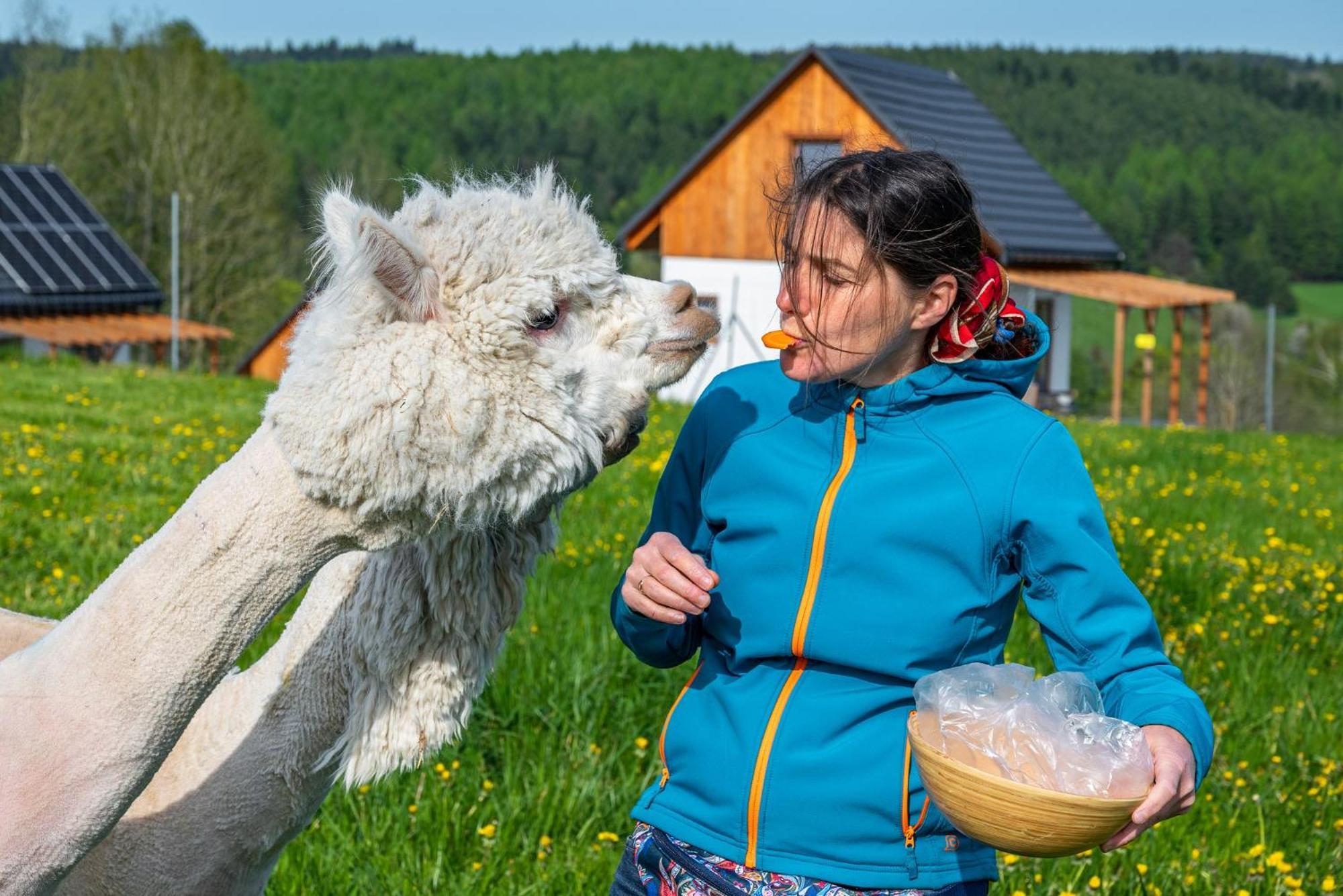Pastelova Krova - Domki W Bieszczadach Ustrzyki Dolne Eksteriør bilde